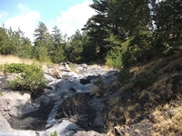 rrente Quarantore-20110911 111